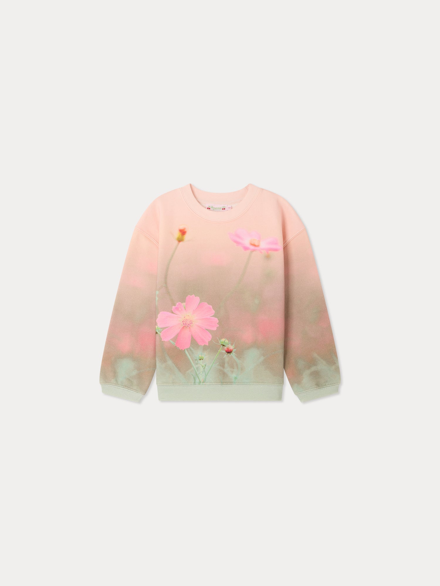 Sweat-shirt en coton biologique imprimé paysage