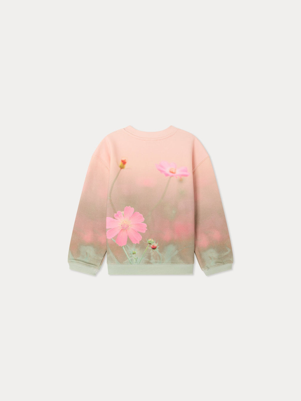 Sweat-shirt en coton biologique imprimé paysage