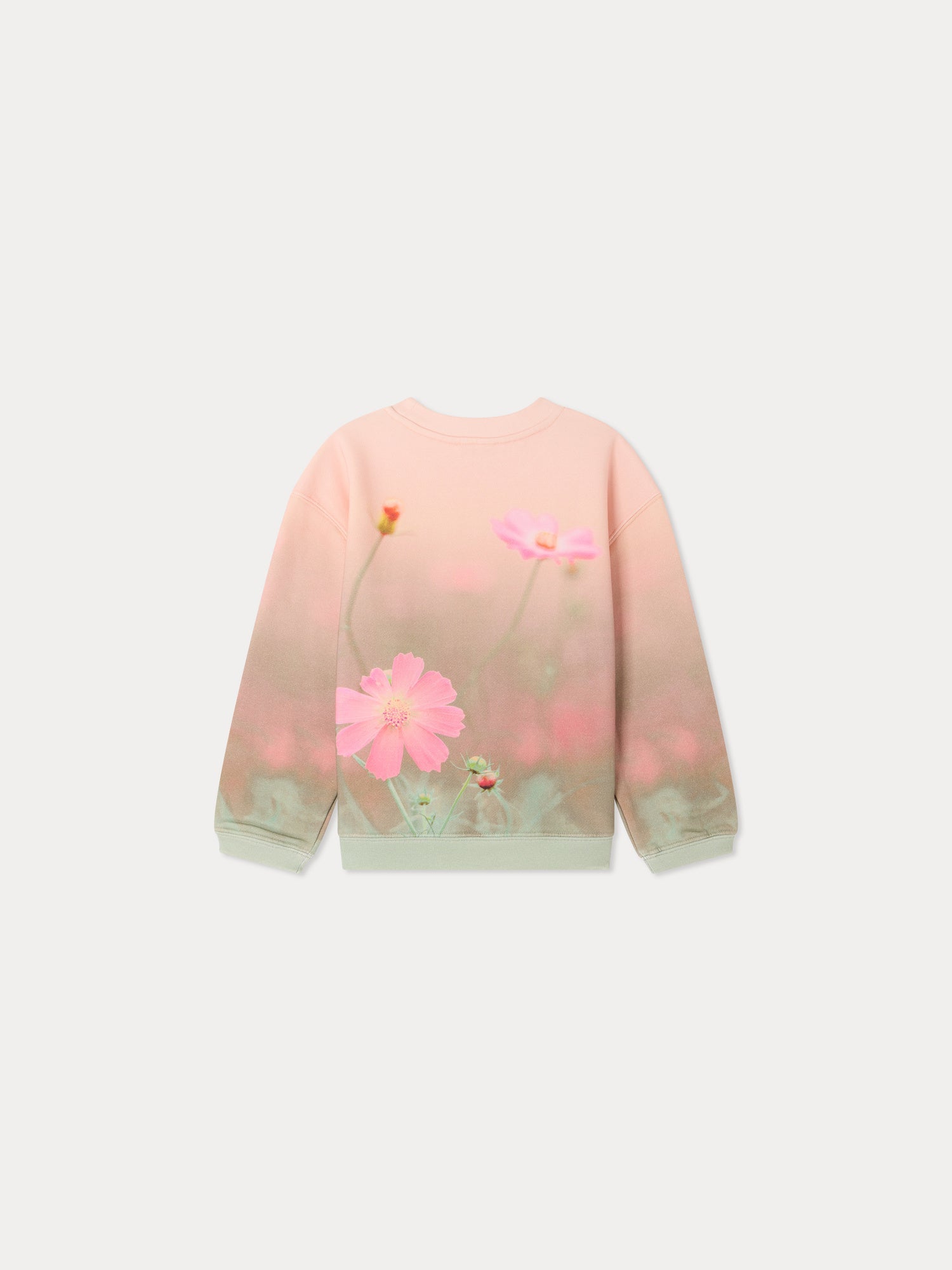 Sweat-shirt en coton biologique imprimé paysage